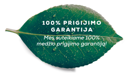 Mes suteikiame 100% medžio prigijimo garantiją!